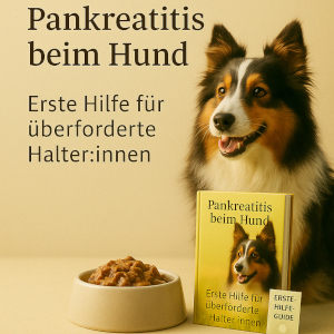 Hund neben einem Napf mit Schonkost und einem Erste-Hilfe-Ratgeber zum Thema „Pankreatitis beim Hund – Ernährung verstehen & sicher füttern“. Ideal für Halter:innen, die nach verträglichem Futter bei Bauchspeicheldrüsenentzündung suchen