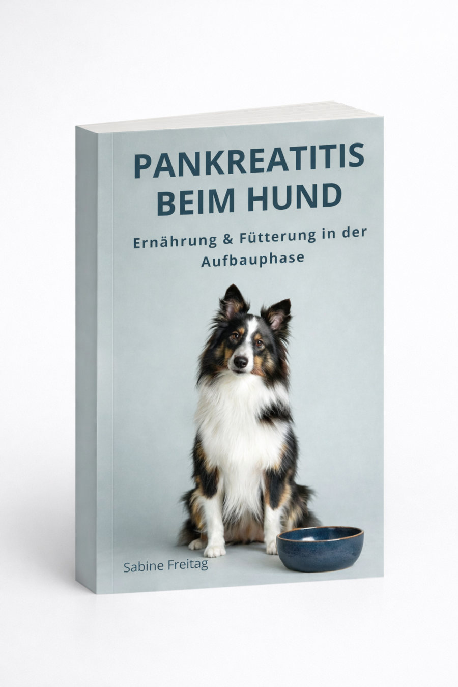 Pankreatitis beim Hund, Ernährung und Fütterung in der Aufbauphase