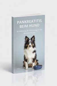 Pankreatitis beim Hund, Ernährung und Fütterung in der Akutphase