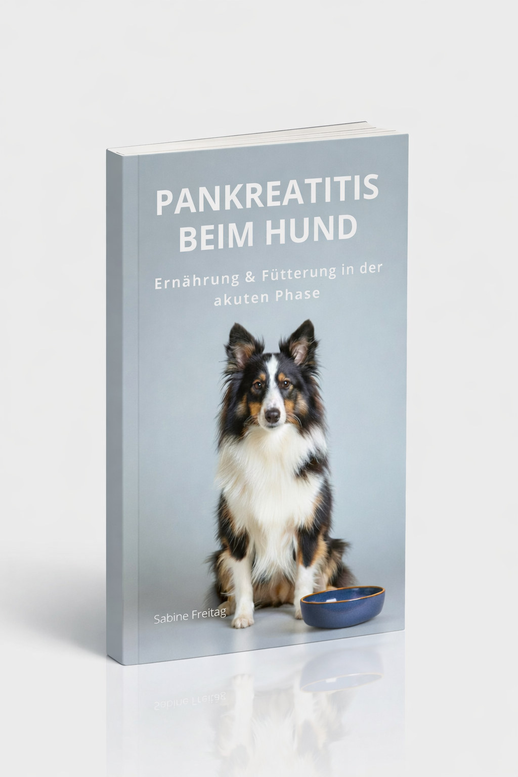 Pankreatitis beim Hund, Ernährung und Fütterung in der Akutphase