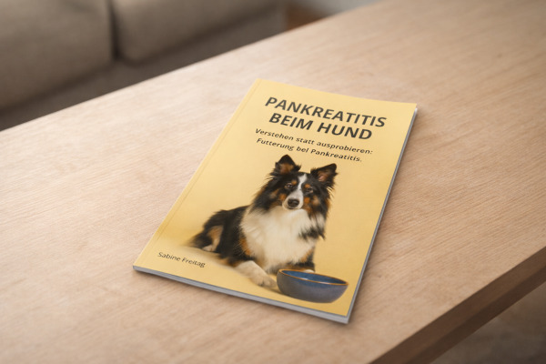 Pankreatitis beim Hund - Gratis-Guide