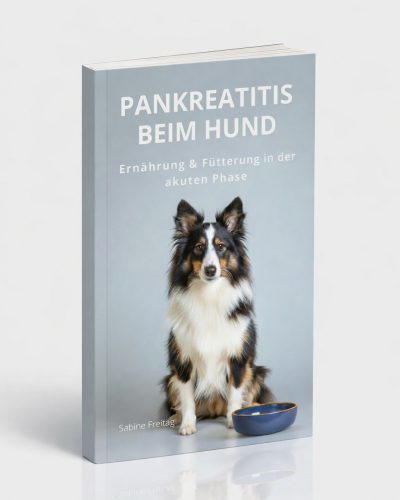 Pankreatitis beim Hund, Ernährung und Fütterung in der Akutphase