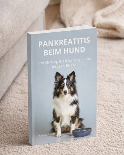 Pankreatitis beim Hund, Ernährung und Fütterung in der Akutphase