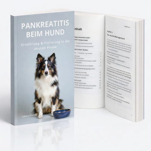 Pankreatitis beim Hund, Ernährung und Fütterung in der Akutphase